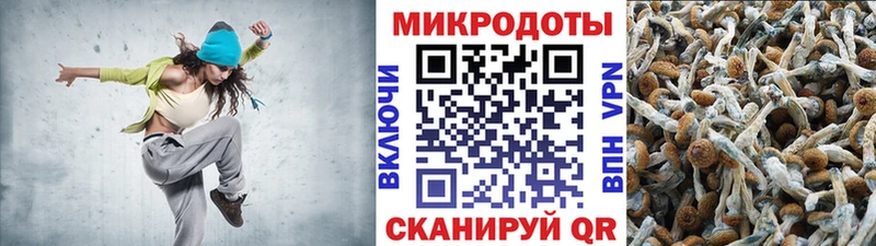 Псилоцибиновые грибы мицелий Архангельск