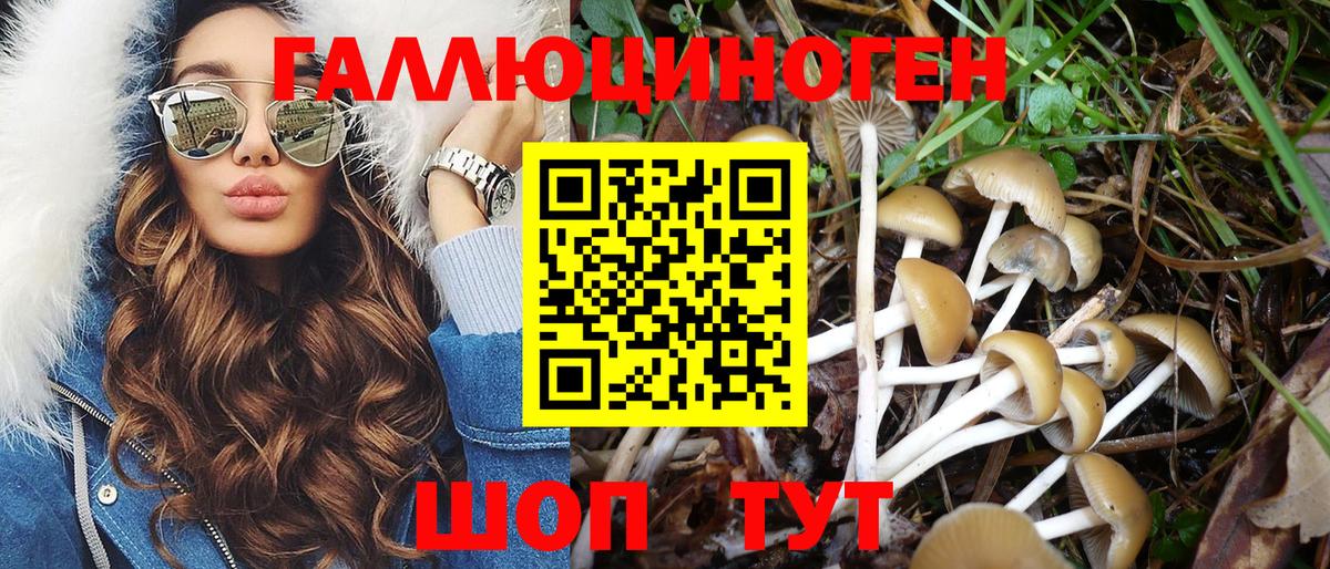 Галлюциногенные грибы MAGIC MUSHROOMS Архангельск