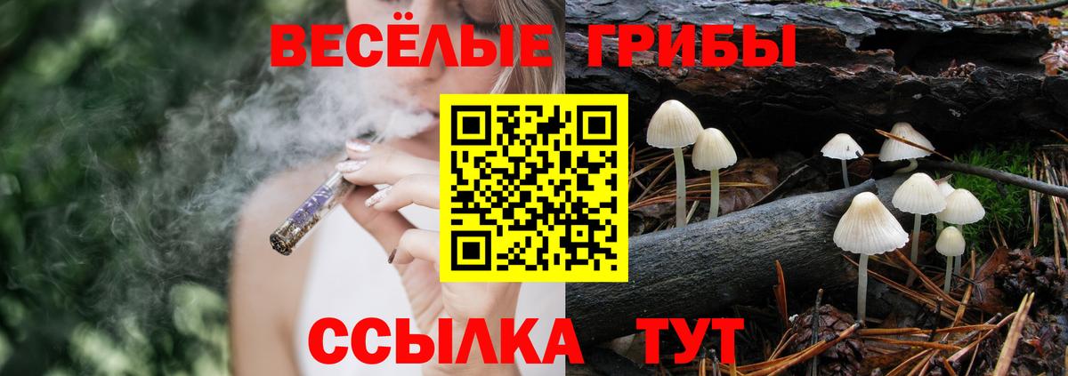 Псилоцибиновые грибы прущие грибы  Вход с VPN  Архангельск 